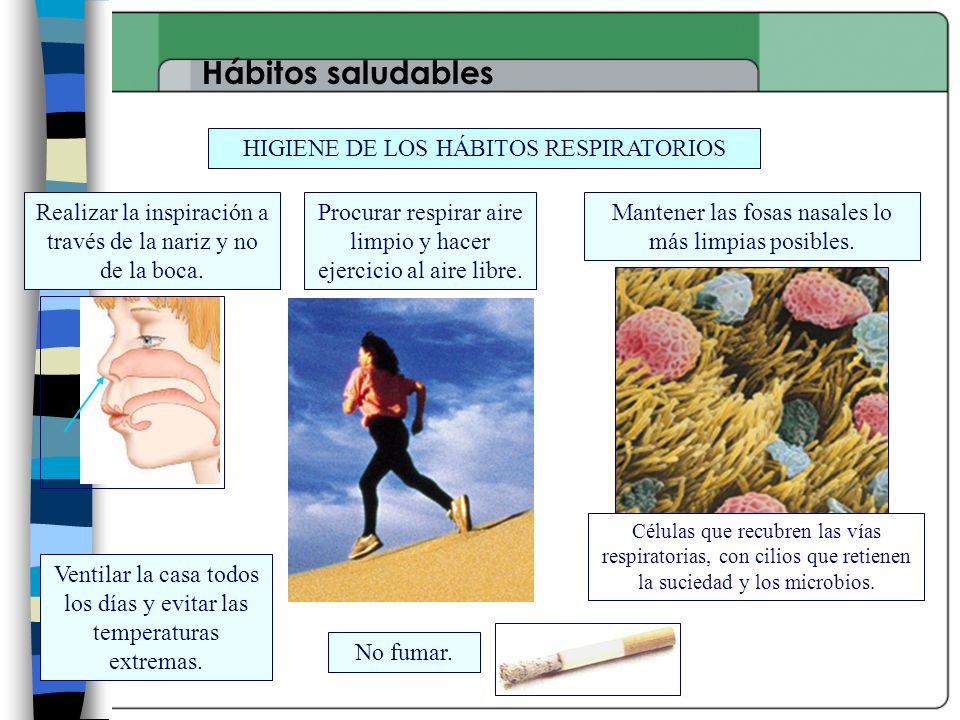 Hábitos saludables HIGIENE DE LOS HÁBITOS RESPIRATORIOS