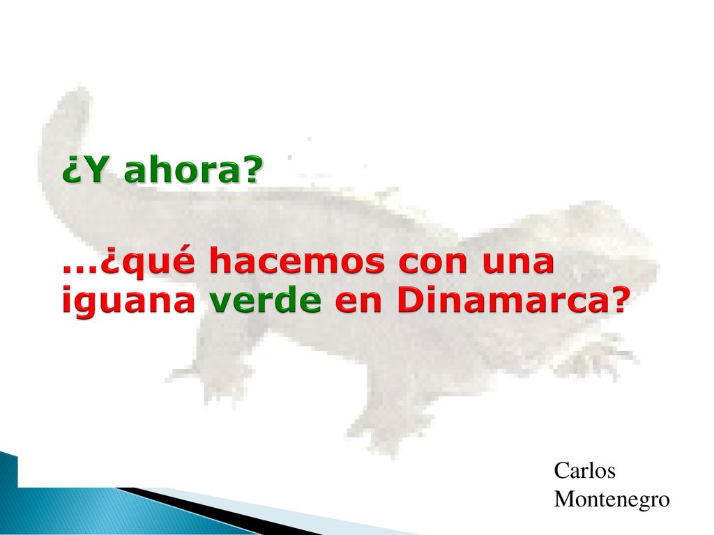 ¿Y ahora ...¿qué hacemos con una iguana verde en Dinamarca