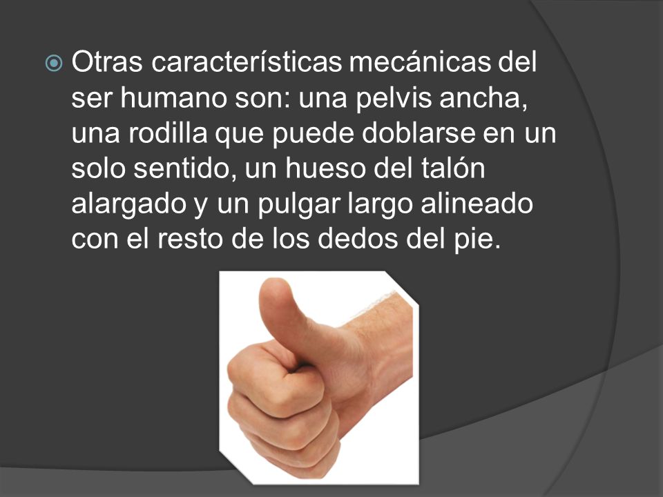 Otras características mecánicas del ser humano son: una pelvis ancha, una rodilla que puede doblarse en un solo sentido, un hueso del talón alargado y un pulgar largo alineado con el resto de los dedos del pie.