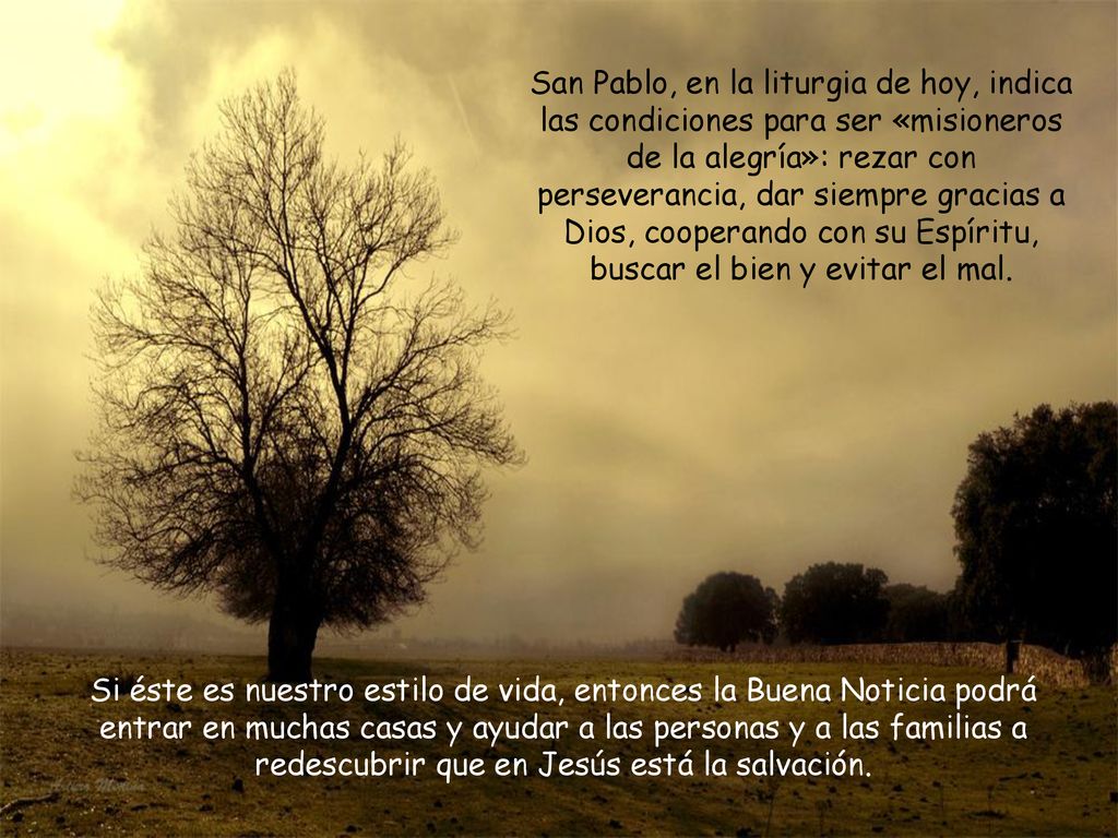San Pablo, en la liturgia de hoy, indica las condiciones para ser «misioneros de la alegría»: rezar con perseverancia, dar siempre gracias a Dios, cooperando con su Espíritu, buscar el bien y evitar el mal.