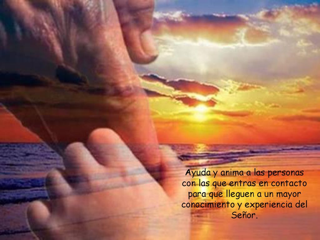 Ayuda y anima a las personas con las que entras en contacto para que lleguen a un mayor conocimiento y experiencia del Señor.