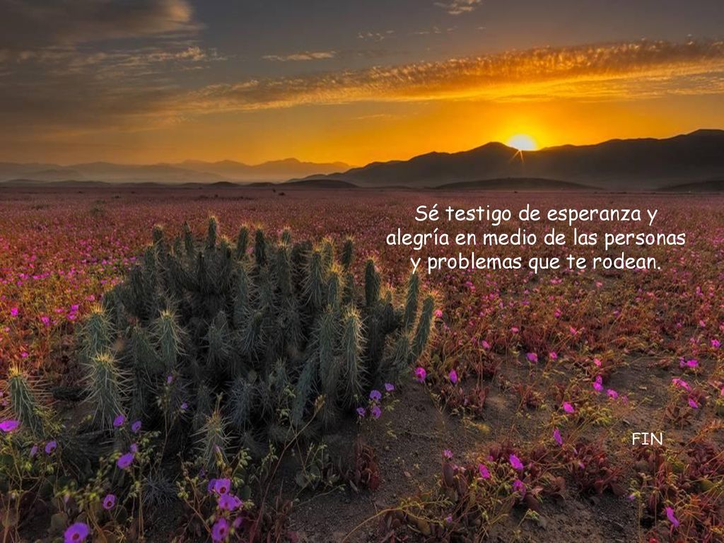 Sé testigo de esperanza y alegría en medio de las personas y problemas que te rodean.