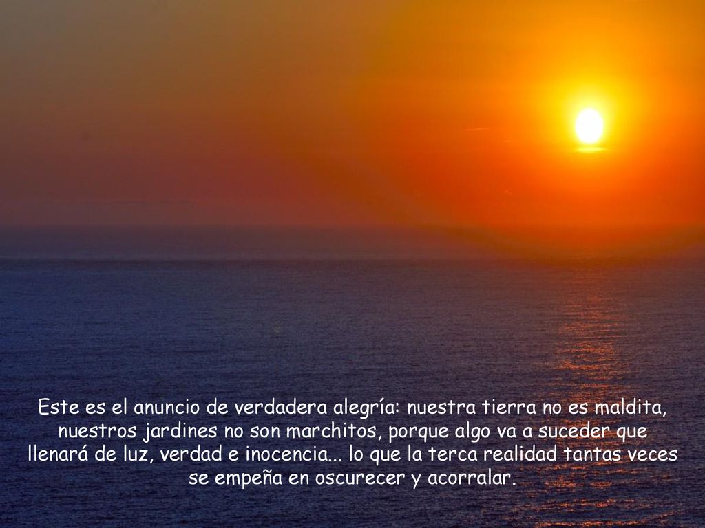 Este es el anuncio de verdadera alegría: nuestra tierra no es maldita, nuestros jardines no son marchitos, porque algo va a suceder que llenará de luz, verdad e inocencia...