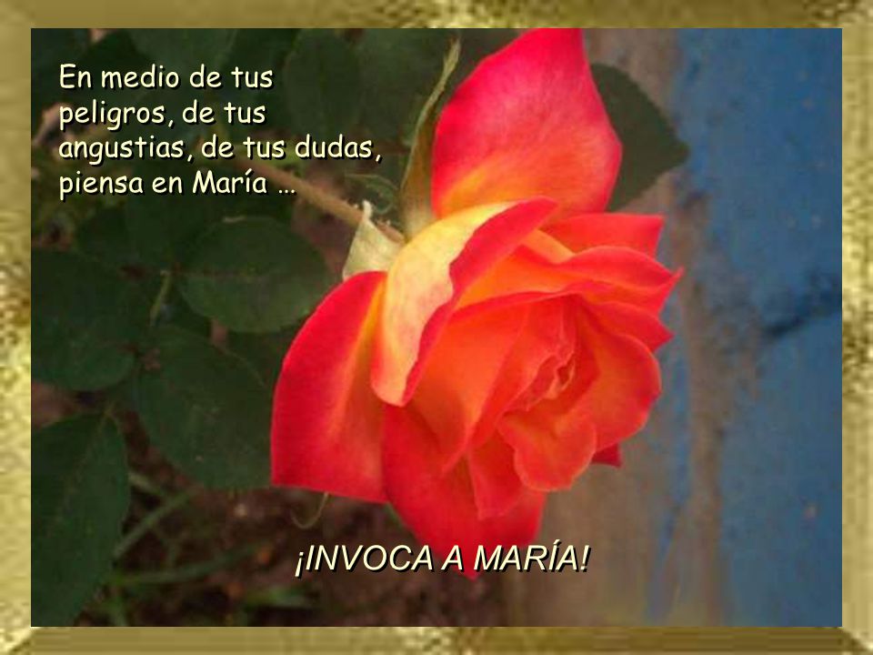 En medio de tus peligros, de tus angustias, de tus dudas, piensa en María …