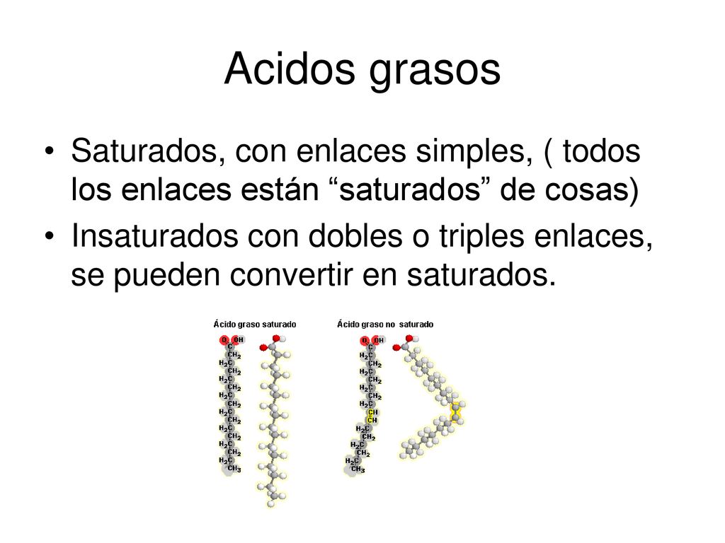 Acidos grasos Saturados, con enlaces simples, ( todos los enlaces están saturados de cosas)