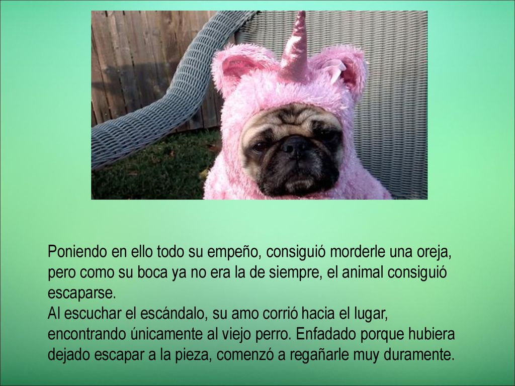 Poniendo en ello todo su empeño, consiguió morderle una oreja, pero como su boca ya no era la de siempre, el animal consiguió escaparse.
