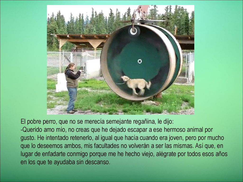 El pobre perro, que no se merecía semejante regañina, le dijo: -Querido amo mío, no creas que he dejado escapar a ese hermoso animal por gusto.