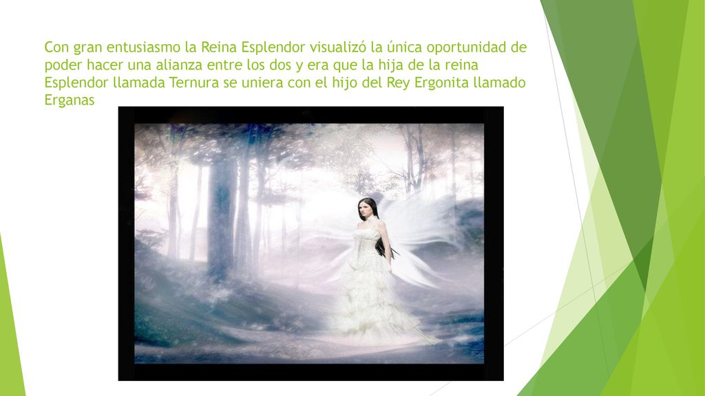 Con gran entusiasmo la Reina Esplendor visualizó la única oportunidad de poder hacer una alianza entre los dos y era que la hija de la reina Esplendor llamada Ternura se uniera con el hijo del Rey Ergonita llamado Erganas