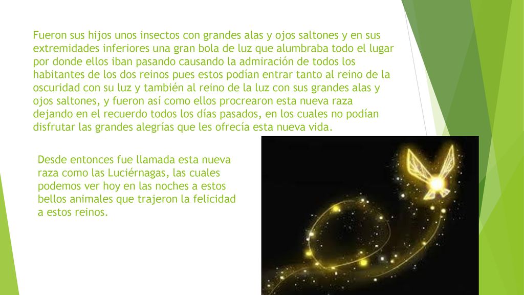 Fueron sus hijos unos insectos con grandes alas y ojos saltones y en sus extremidades inferiores una gran bola de luz que alumbraba todo el lugar por donde ellos iban pasando causando la admiración de todos los habitantes de los dos reinos pues estos podían entrar tanto al reino de la oscuridad con su luz y también al reino de la luz con sus grandes alas y ojos saltones, y fueron así como ellos procrearon esta nueva raza dejando en el recuerdo todos los días pasados, en los cuales no podían disfrutar las grandes alegrías que les ofrecía esta nueva vida.