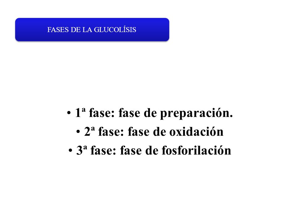 1ª fase: fase de preparación. 2ª fase: fase de oxidación