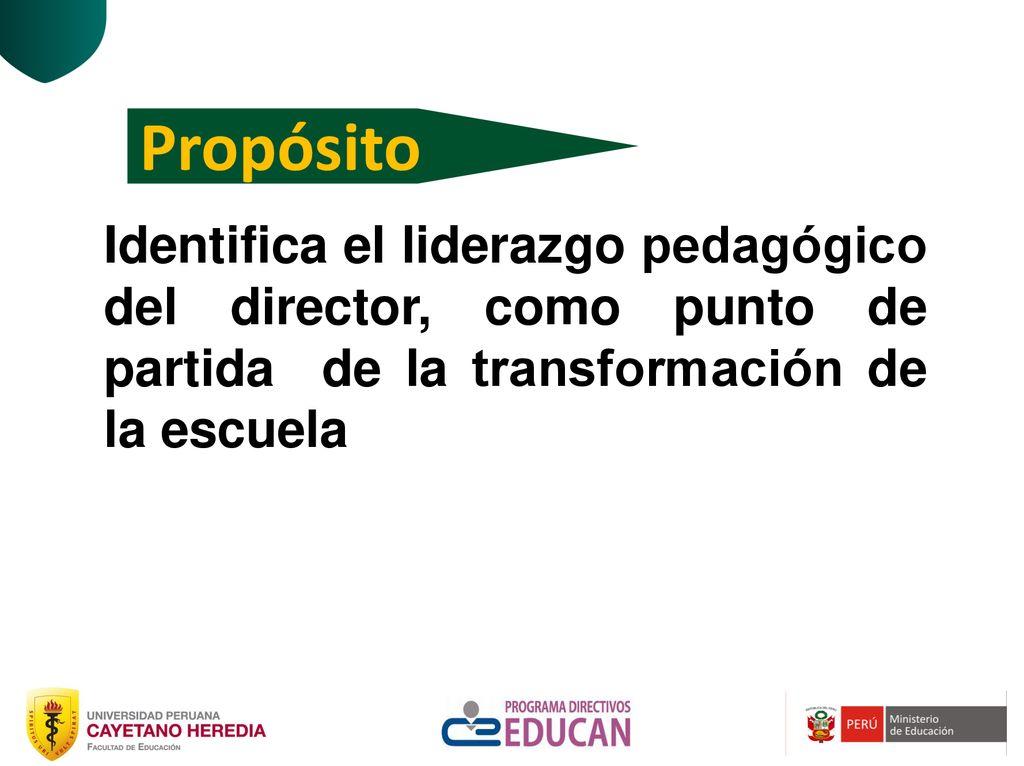 Propósito Identifica el liderazgo pedagógico del director, como punto de partida de la transformación de la escuela.