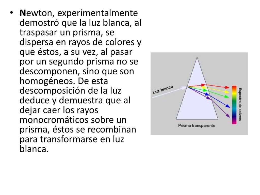 Newton, experimentalmente demostró que la luz blanca, al traspasar un prisma, se dispersa en rayos de colores y que éstos, a su vez, al pasar por un segundo prisma no se descomponen, sino que son homogéneos.