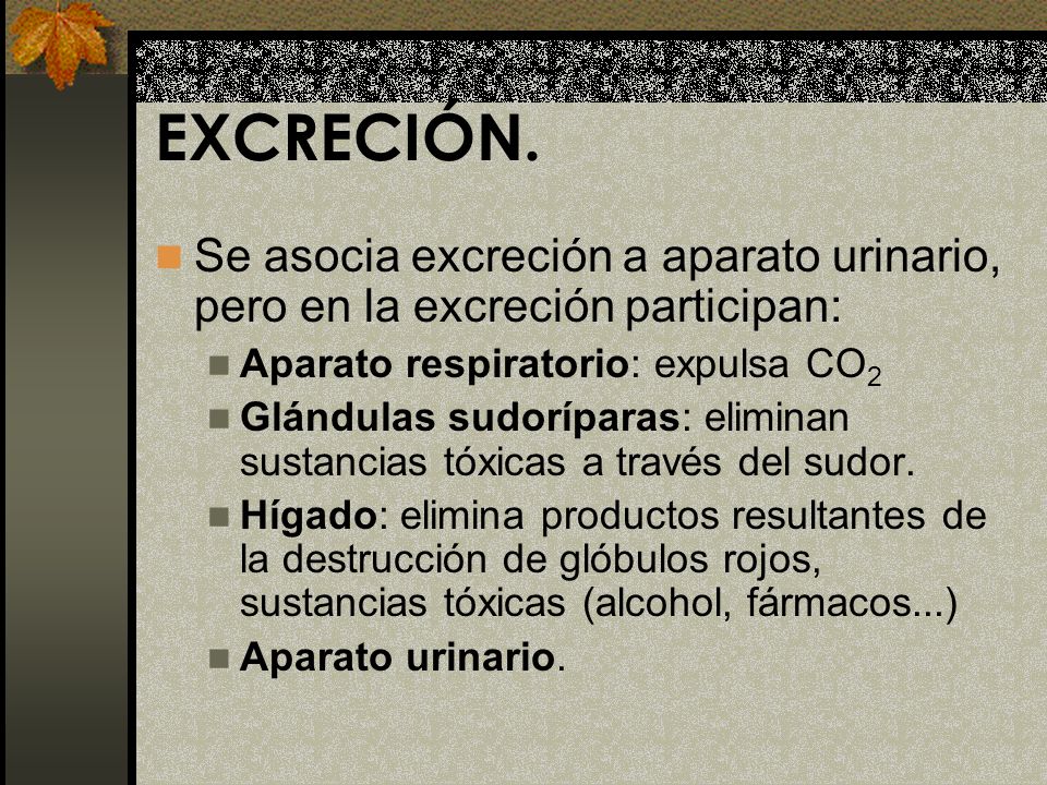 EXCRECIÓN. Se asocia excreción a aparato urinario, pero en la excreción participan: Aparato respiratorio: expulsa CO2.