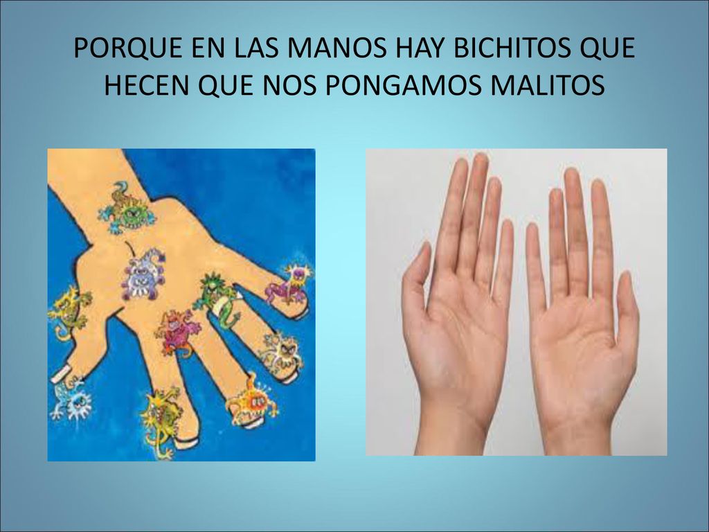 PORQUE EN LAS MANOS HAY BICHITOS QUE HECEN QUE NOS PONGAMOS MALITOS