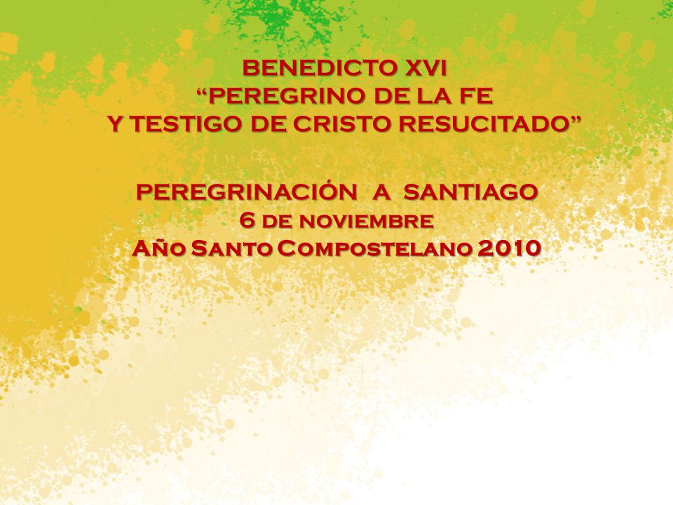 Año Santo Compostelano 2010