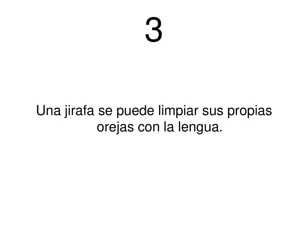 Una jirafa se puede limpiar sus propias orejas con la lengua.