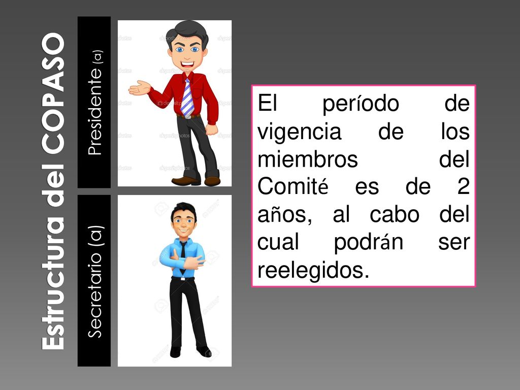 Estructura del COPASO Presidente (a) El período de vigencia de los miembros del Comité es de 2 años, al cabo del cual podrán ser reelegidos.