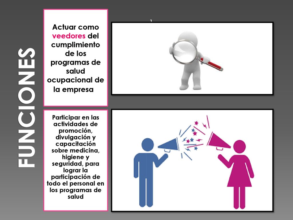 FUNCIONES Actuar como veedores del cumplimiento de los programas de salud ocupacional de la empresa