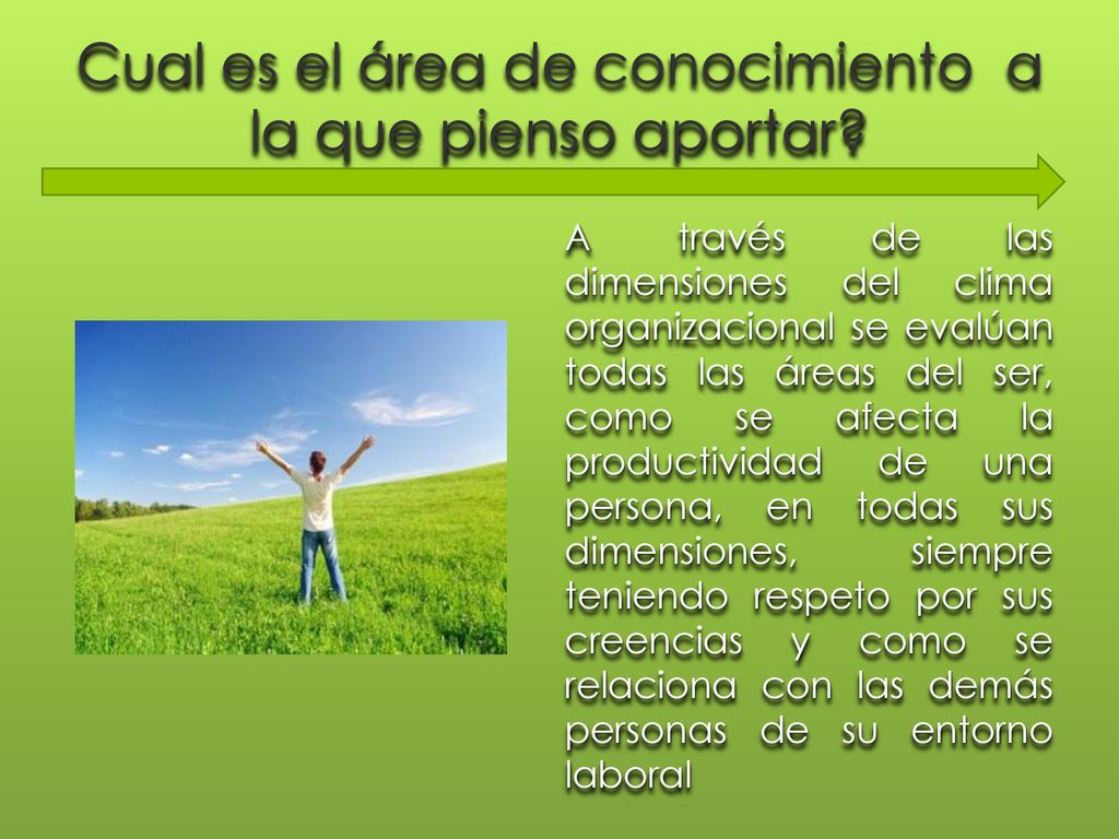 Cual es el área de conocimiento a la que pienso aportar