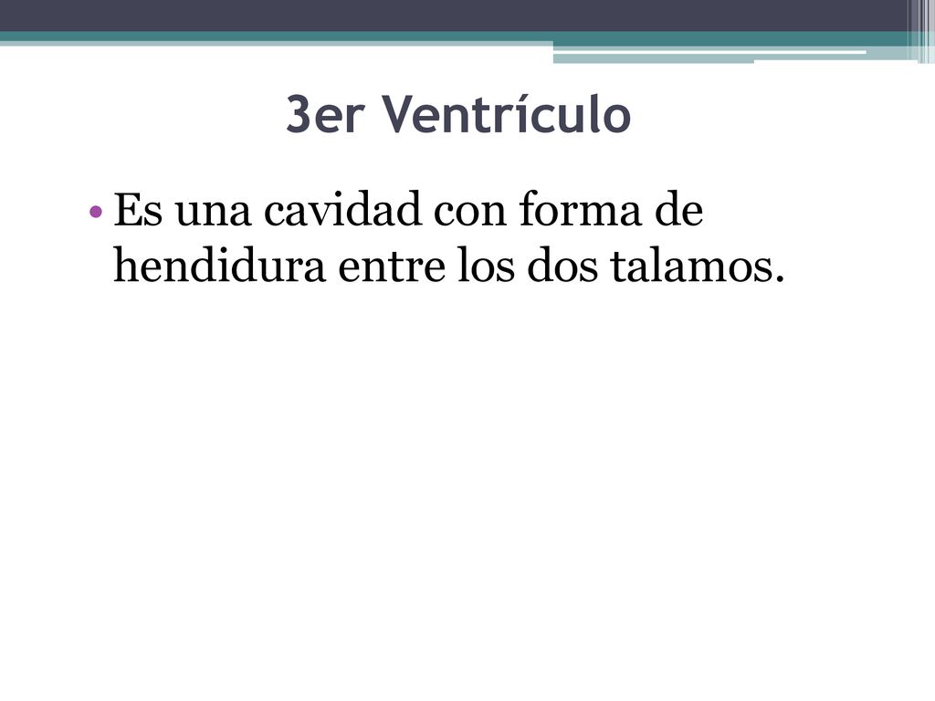 3er Ventrículo Es una cavidad con forma de hendidura entre los dos talamos.