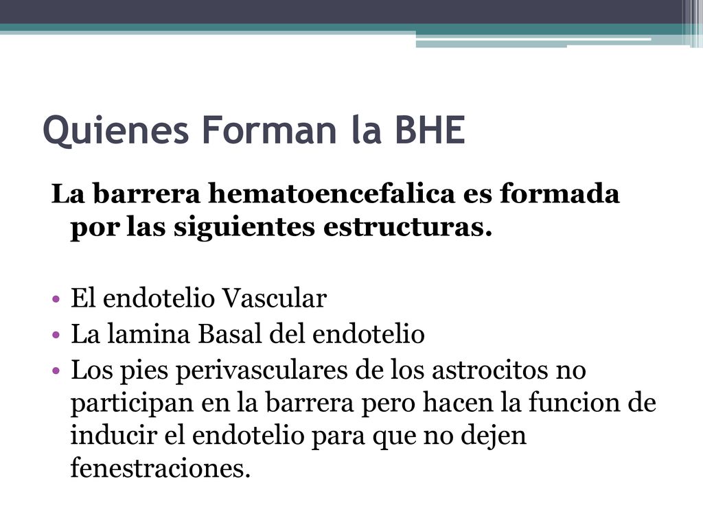 Quienes Forman la BHE La barrera hematoencefalica es formada por las siguientes estructuras. El endotelio Vascular.