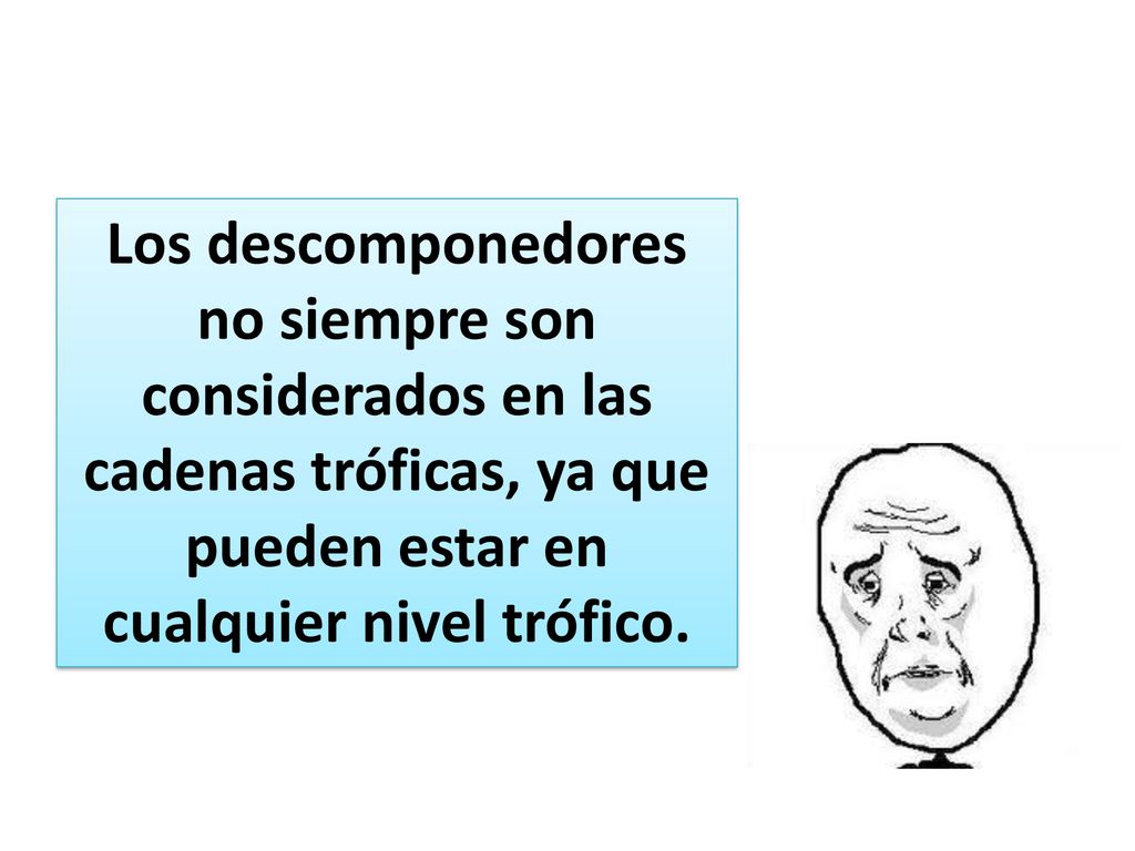 Los descomponedores no siempre son considerados en las cadenas tróficas, ya que pueden estar en cualquier nivel trófico.