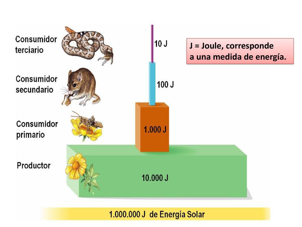 J = Joule, corresponde a una medida de energía.