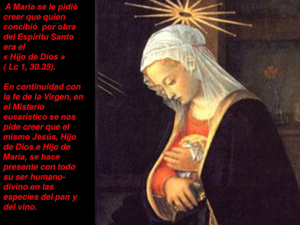 A María se le pidió creer que quien concibió por obra del Espíritu Santo