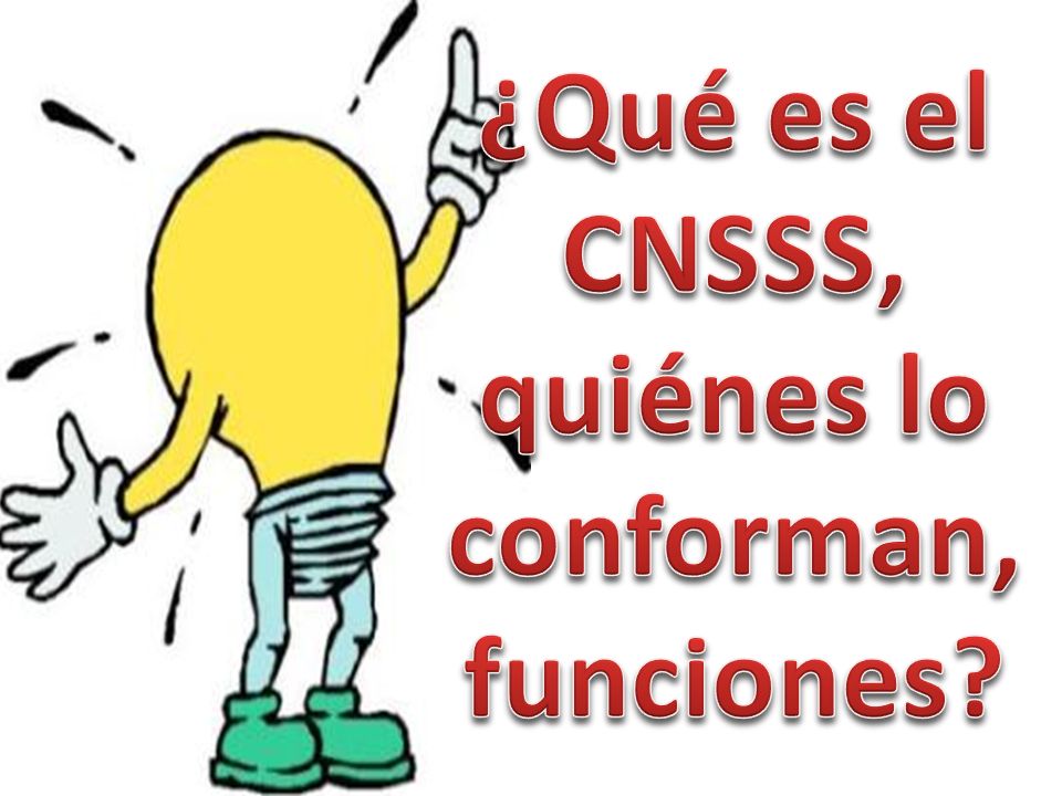 ¿Qué es el CNSSS, quiénes lo conforman, funciones
