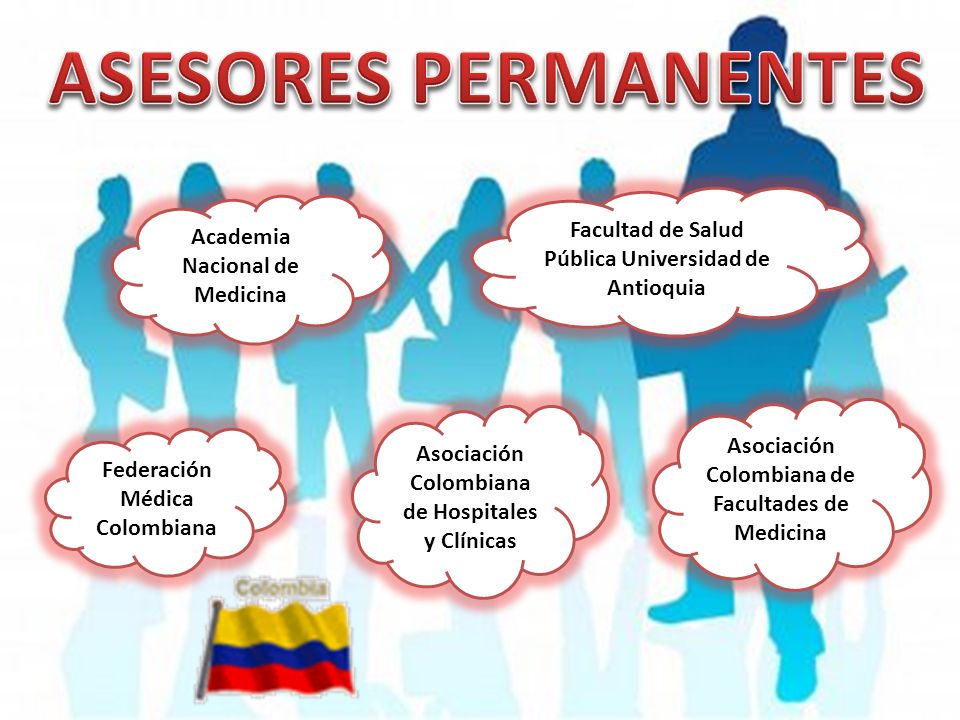 ASESORES PERMANENTES Facultad de Salud Pública Universidad de Antioquia. Academia Nacional de Medicina.