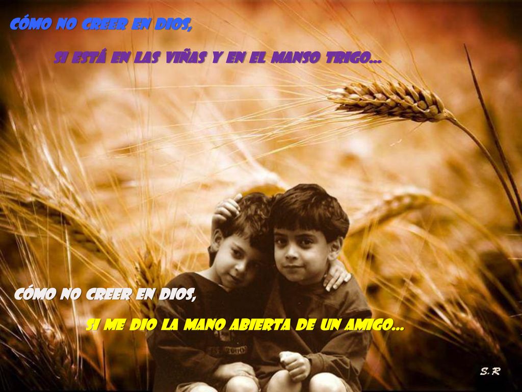 si está en las viñas y en el manso trigo…