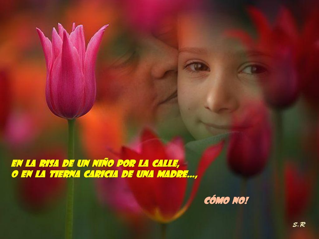 En la risa de un niño por la calle, o en la tierna caricia de una madre…,