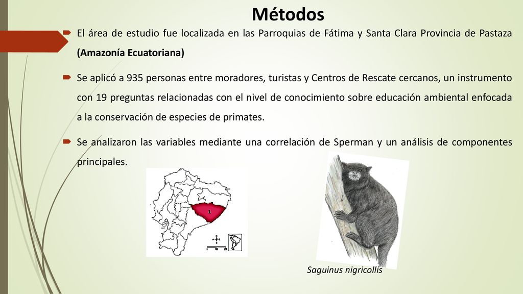 Métodos El área de estudio fue localizada en las Parroquias de Fátima y Santa Clara Provincia de Pastaza (Amazonía Ecuatoriana)