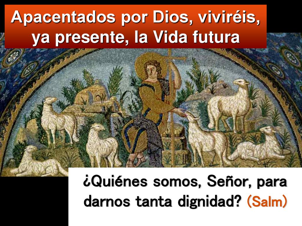 Apacentados por Dios, viviréis, ya presente, la Vida futura