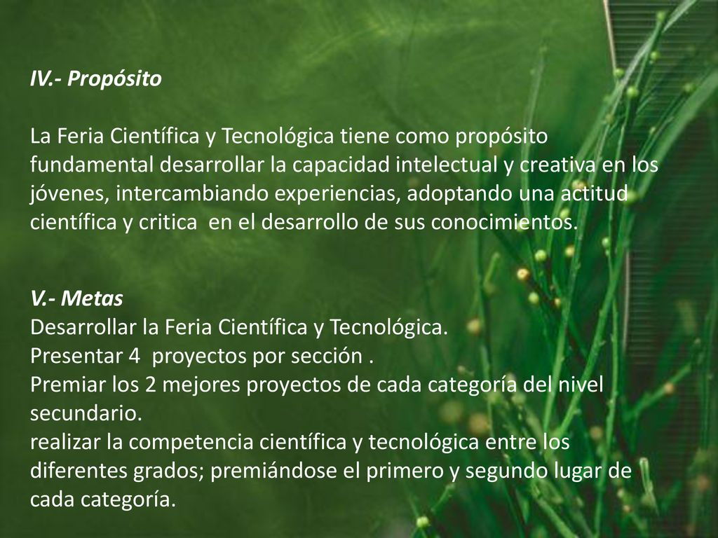 IV.- Propósito La Feria Científica y Tecnológica tiene como propósito fundamental desarrollar la capacidad intelectual y creativa en los jóvenes, intercambiando experiencias, adoptando una actitud científica y critica en el desarrollo de sus conocimientos.