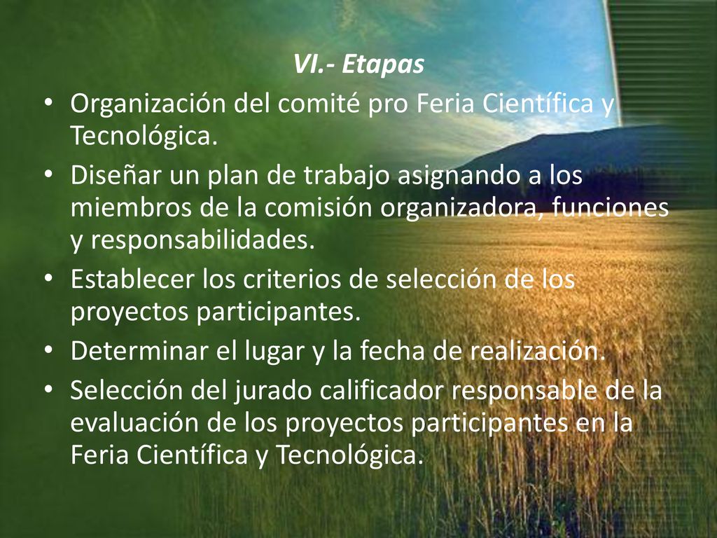 VI.- Etapas Organización del comité pro Feria Científica y Tecnológica.