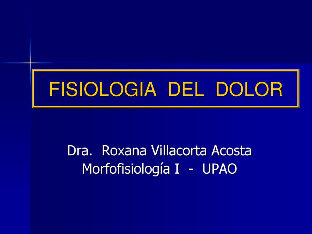 Dra. Roxana Villacorta Acosta Morfofisiología I - UPAO