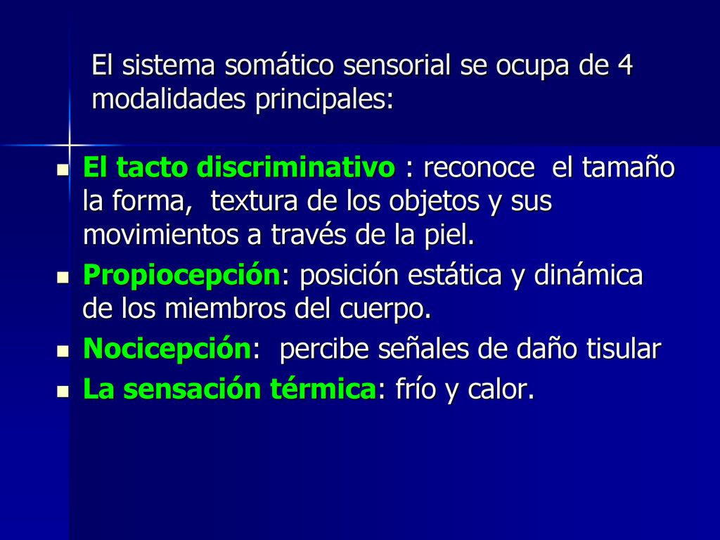 El sistema somático sensorial se ocupa de 4 modalidades principales: