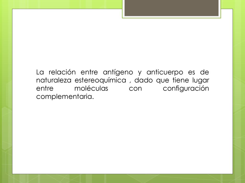 La relación entre antígeno y anticuerpo es de naturaleza estereoquímica , dado que tiene lugar entre moléculas con configuración complementaria.