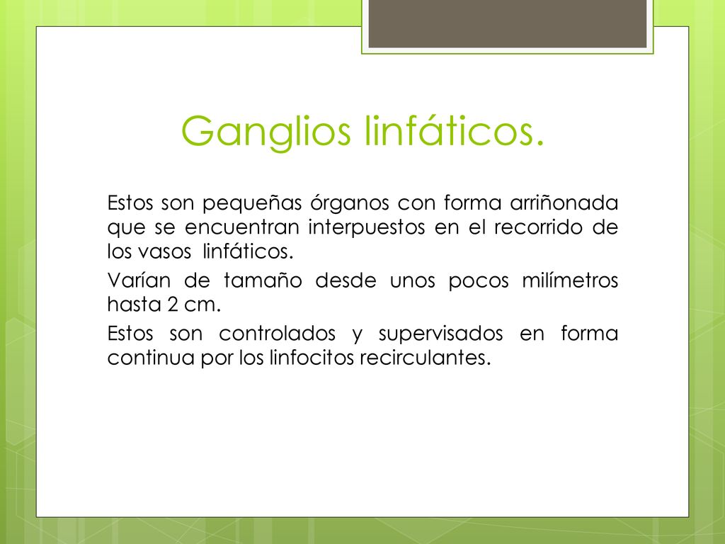 Ganglios linfáticos. Estos son pequeñas órganos con forma arriñonada que se encuentran interpuestos en el recorrido de los vasos linfáticos.