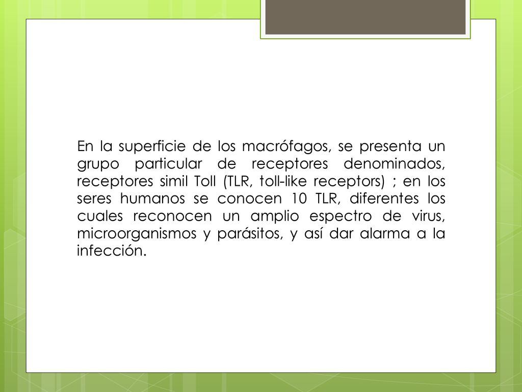 En la superficie de los macrófagos, se presenta un grupo particular de receptores denominados, receptores simil Toll (TLR, toll-like receptors) ; en los seres humanos se conocen 10 TLR, diferentes los cuales reconocen un amplio espectro de virus, microorganismos y parásitos, y así dar alarma a la infección.
