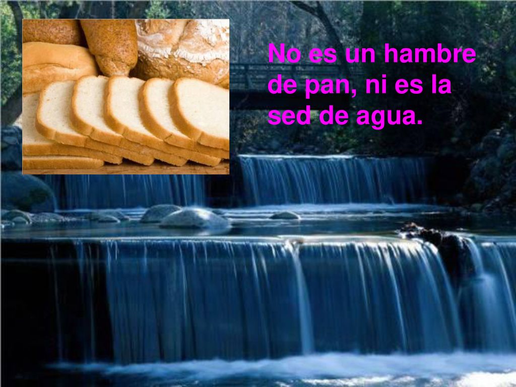 No es un hambre de pan, ni es la sed de agua.