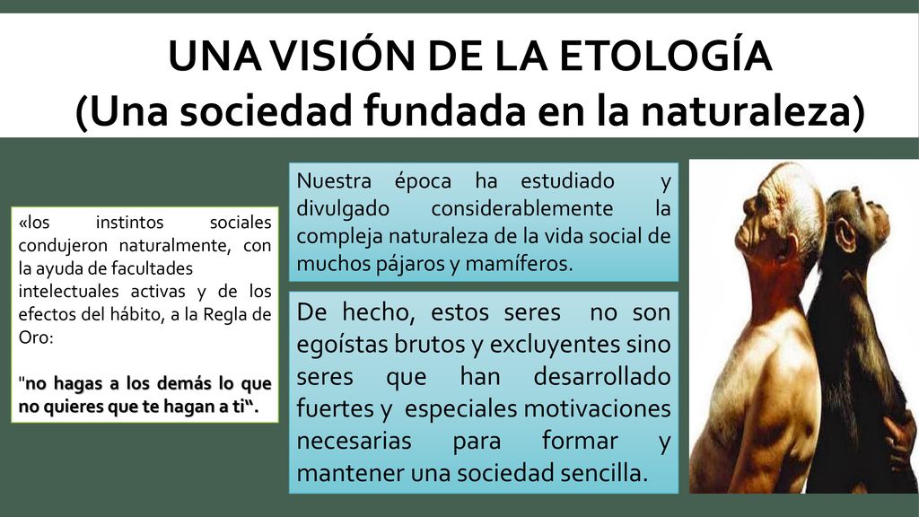 UNA VISIÓN DE LA ETOLOGÍA (Una sociedad fundada en la naturaleza)