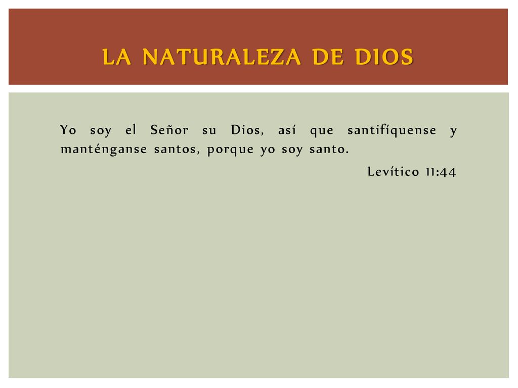 LA NATURALEZA DE DIOS Yo soy el Señor su Dios, así que santifíquense y manténganse santos, porque yo soy santo.