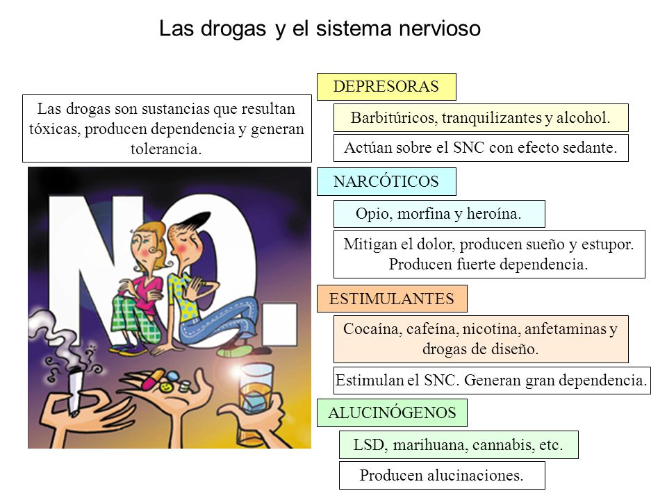 Las drogas y el sistema nervioso