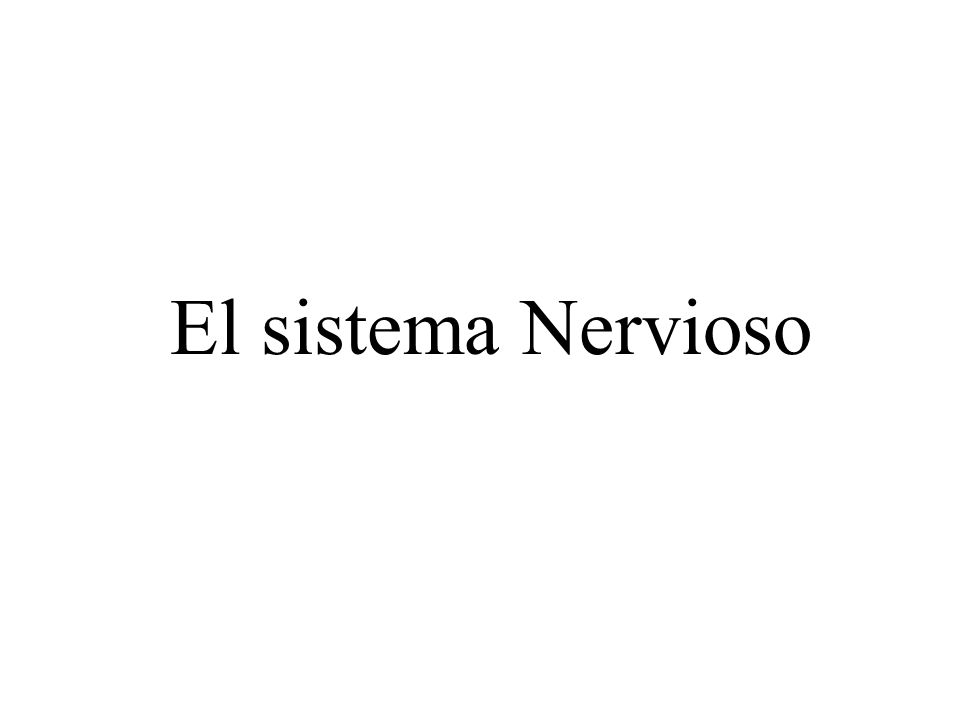 El sistema Nervioso