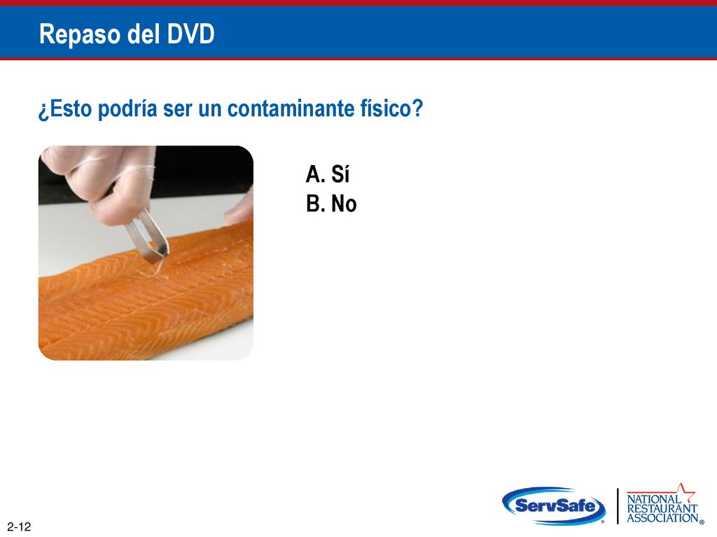 Repaso del DVD ¿Esto podría ser un contaminante físico A. Sí B. No