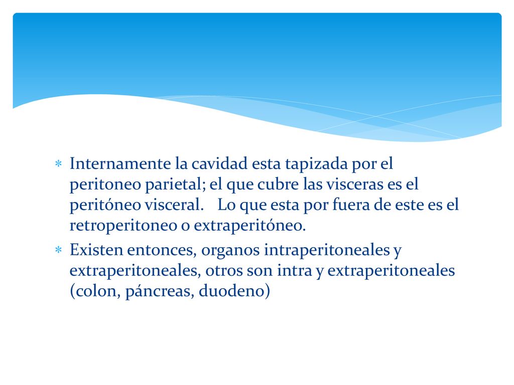 Internamente la cavidad esta tapizada por el peritoneo parietal; el que cubre las visceras es el peritóneo visceral. Lo que esta por fuera de este es el retroperitoneo o extraperitóneo.