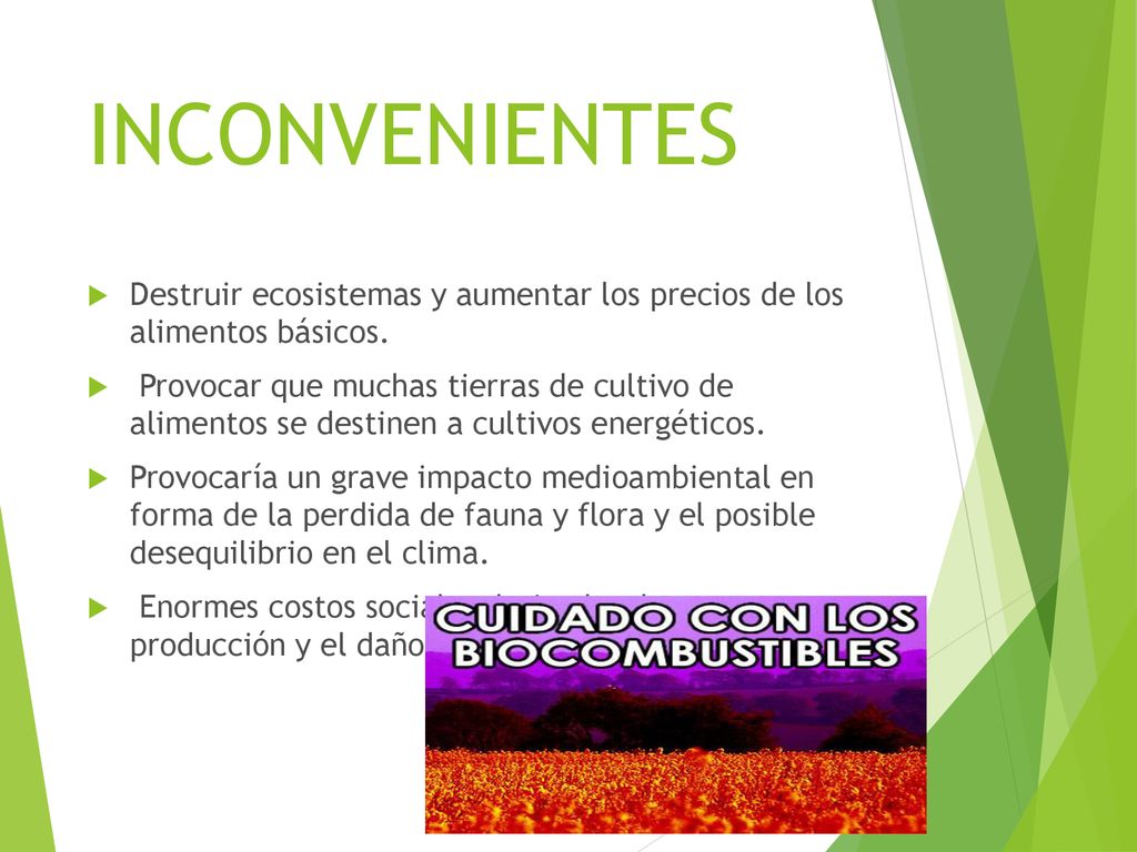 INCONVENIENTES Destruir ecosistemas y aumentar los precios de los alimentos básicos.