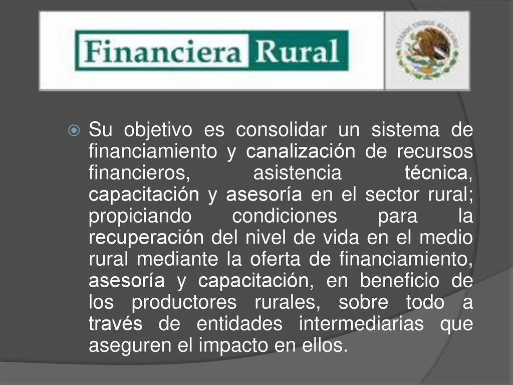 Su objetivo es consolidar un sistema de financiamiento y canalización de recursos financieros, asistencia técnica, capacitación y asesoría en el sector rural; propiciando condiciones para la recuperación del nivel de vida en el medio rural mediante la oferta de financiamiento, asesoría y capacitación, en beneficio de los productores rurales, sobre todo a través de entidades intermediarias que aseguren el impacto en ellos.